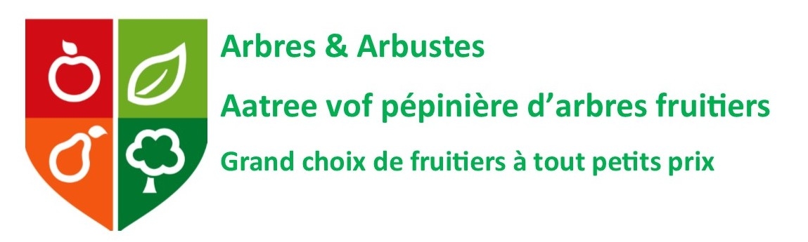 Arbres et Arbustes